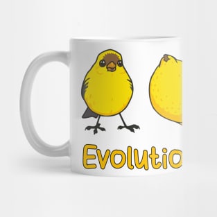 Convergent Evolution of a Brid into a Lemon. Science Pun Mug